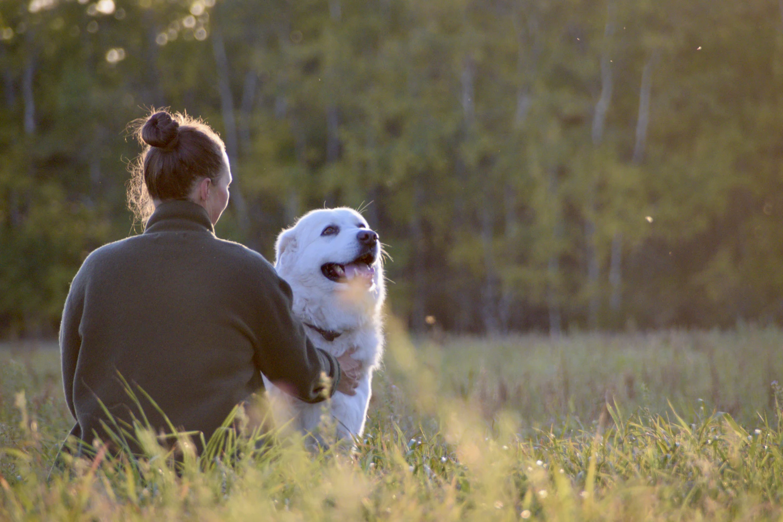 A woman with her dog in a field